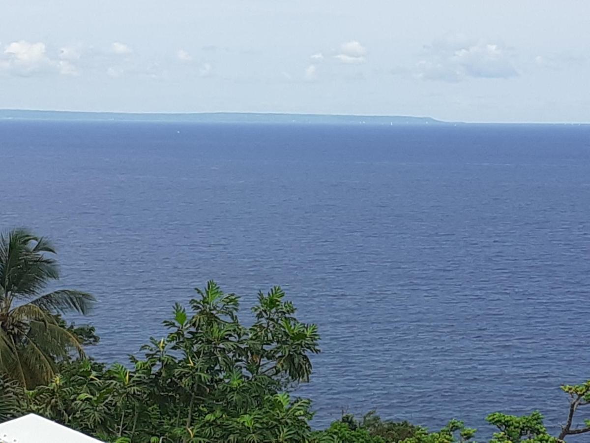 Awmony'Kaz, Gite A Trois-Rivieres Guadeloupe 外观 照片