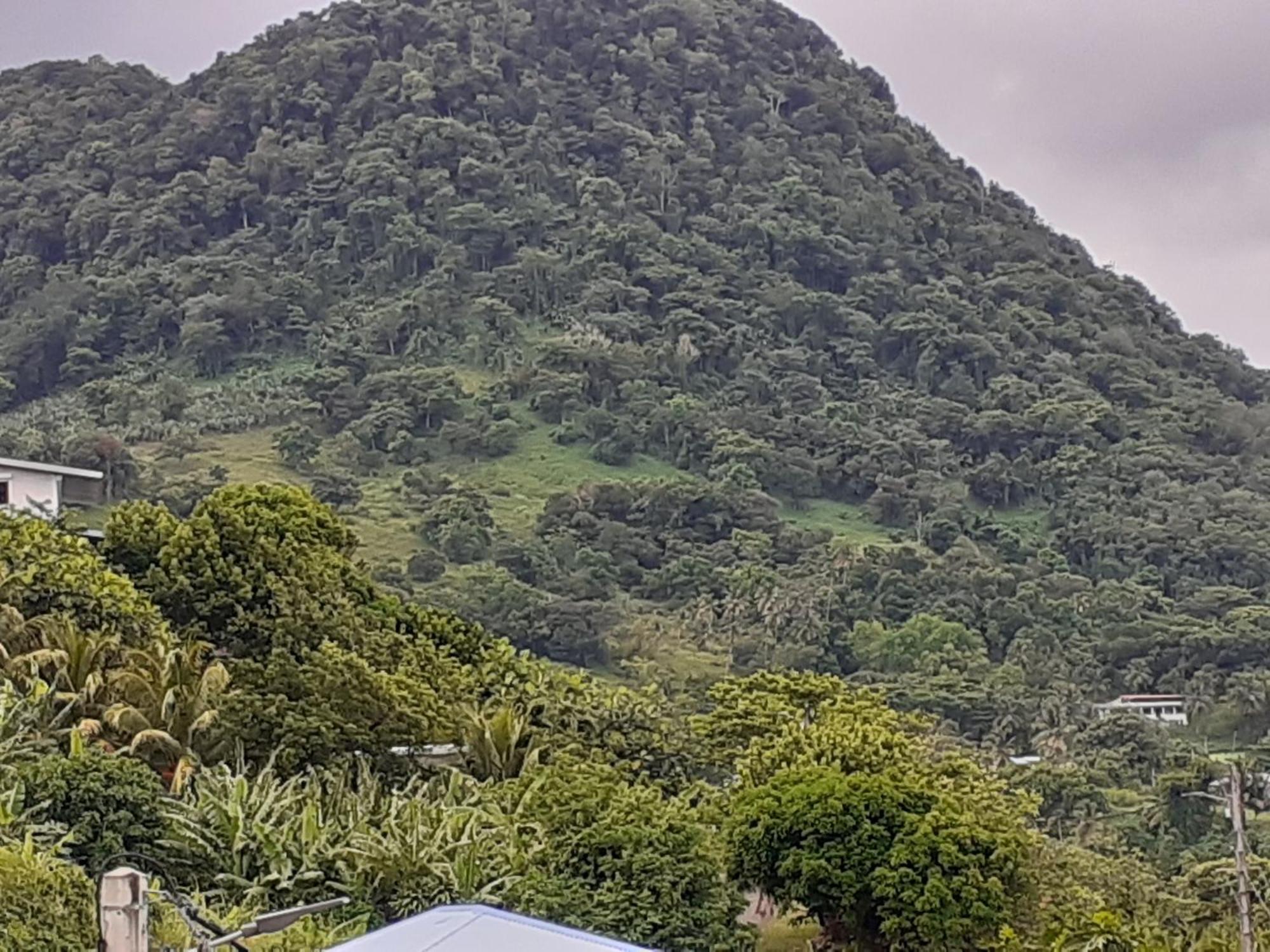 Awmony'Kaz, Gite A Trois-Rivieres Guadeloupe 外观 照片