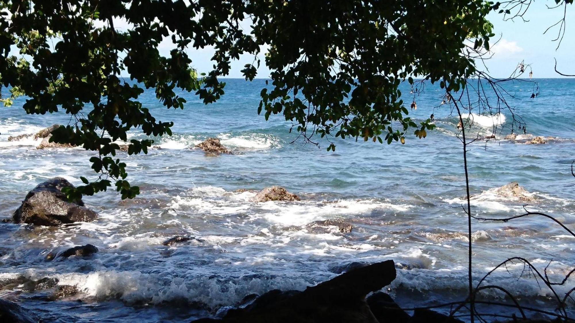 Awmony'Kaz, Gite A Trois-Rivieres Guadeloupe 外观 照片