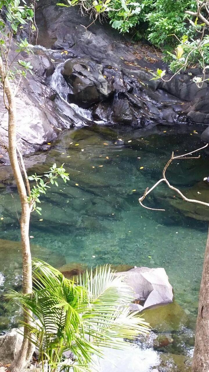 Awmony'Kaz, Gite A Trois-Rivieres Guadeloupe 外观 照片
